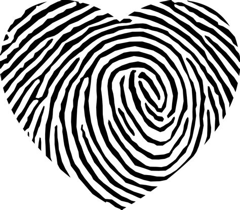 Fingerprint Heart Shape Svg Png Icon Free Download (#35452 ...