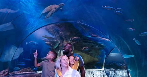 Sea Life Aquarium Orlando And Virtual Reality Experience Entrance