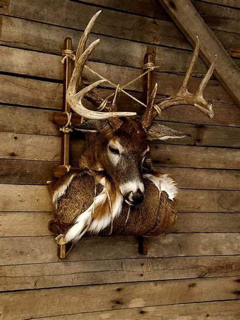 Pin By Dane Greene On Taxidermy Deer Hunting Decor Deer Mount Decor