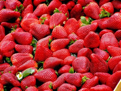 How To Grow Strawberries In A Greenhouse Access Garden Products