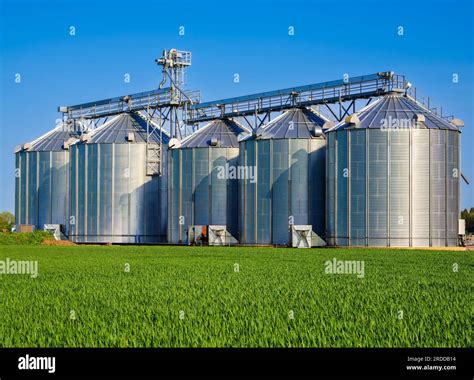 Steel Agricultural Silos Near Motala Sweden For Storage And Drying Of