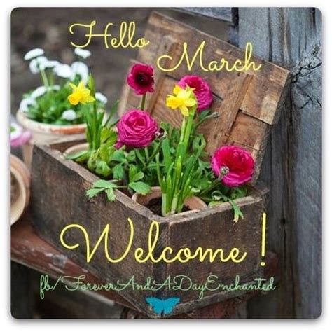 An event in which a large number of people walk through a public place to express their support…. Hello March Welcome Pictures, Photos, and Images for Facebook, Tumblr, Pinterest, and Twitter