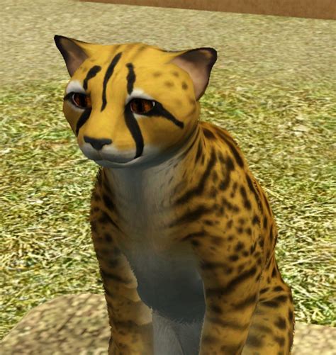 Mod The Sims Cheetah The Fastest Land Animal On Earth