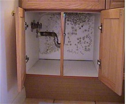 Read on to find out how to stop condensation in 10 easy steps that will not cost you a thing! How to Remove Black Mold Under or In a Sink