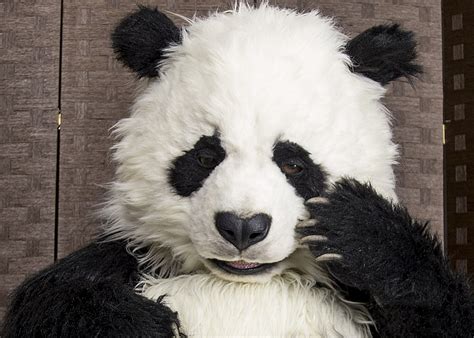 Animatronic Special Effects Panda Suit Mascot Ambassadors