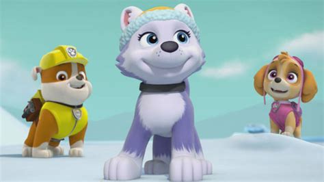 Chase Or Everest Paw Patrol Fanpop