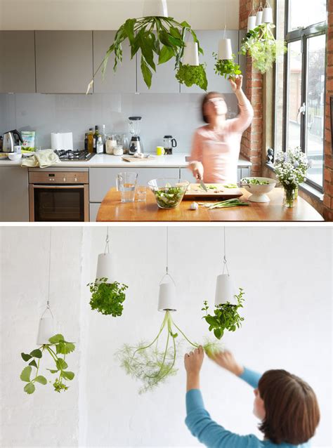 Indoor Garden Idea Hang Your Plants From The Ceiling And Walls