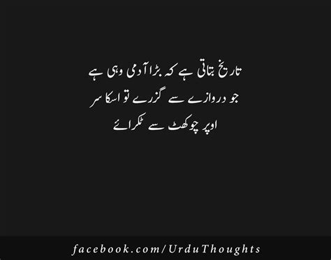 Visit www.urduworld.com for more videos like this. funny urdu quotes - urdu jokes - lateefy in urdu in 2020 ...