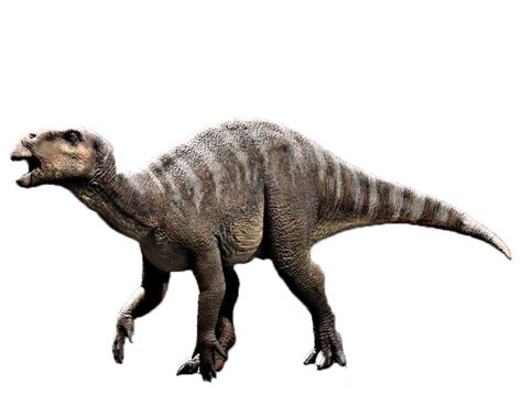 Iguanodon Jurassic Park Wiki Fandom