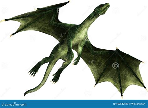 Flying Lizard Dragon Reptile Isolated Stock Image Illustration Of