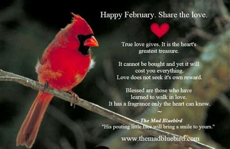 Happy February Quotes Quotesgram