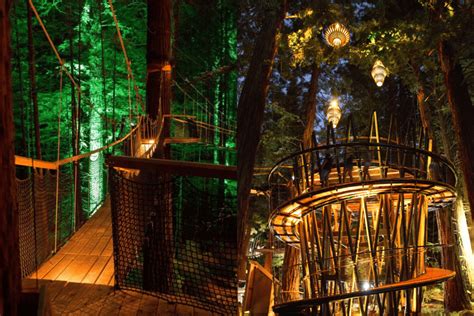 This Magical Nz Forest Treewalk Needs To Be On Your Summer List