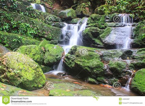 Waterfall And Rocks Covered With Moss Stock Image Image Of Fresh