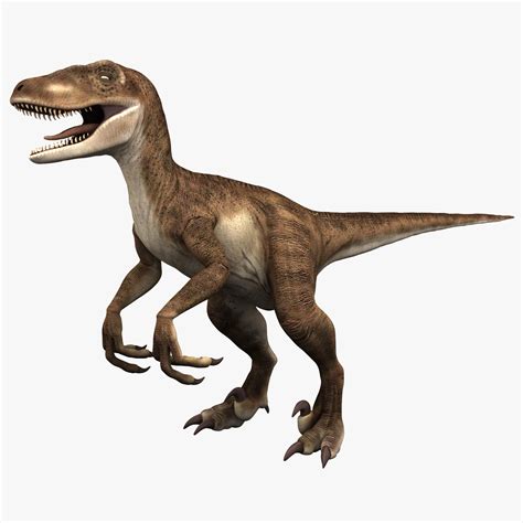 Raptor Dinosaur 3d Model
