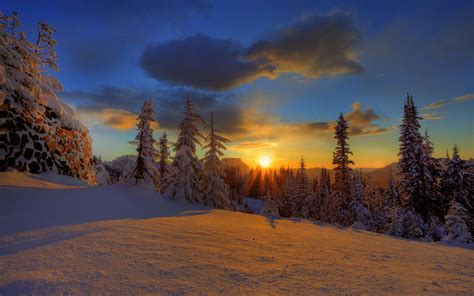Download Snowy Forest Sunset Desktop Wallpaper