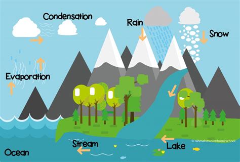 Diagram The Diagram Below Shows The Water Cycle Mydiagramonline