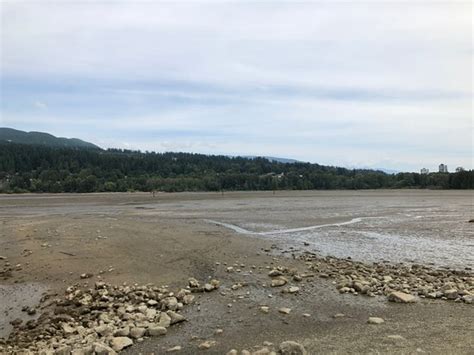 Rocky Point Park Port Moody 2020 All You Need To Know Before You Go
