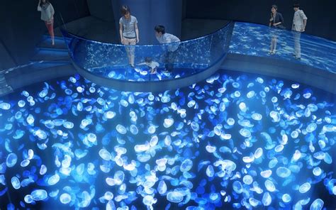 Tokyo Aquarium Unveils Fab Glowing Jellyfish Attraction