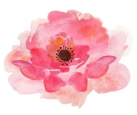 Pink Watercolor Flowers High Quality Png Transparent Background Free