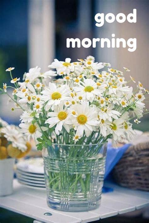 Morning With White Flowers