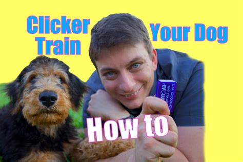 How To Clicker Train Your Dog The Fastest Way To Teach Your Dog To Be