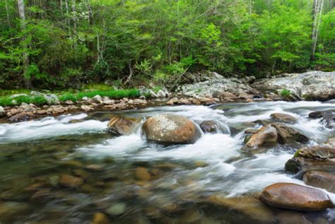 Mountain Stream In Spring Stock Photo Download Image Now Istock