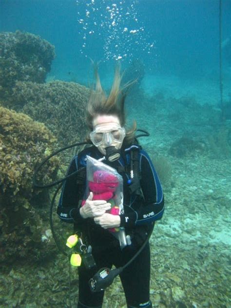 A hannah barney férfi softshell kabát alkalmas mindennapi viselethez a városban vagy kirándulásokon. Barney's Great Underwater Adventure | Anything Goes
