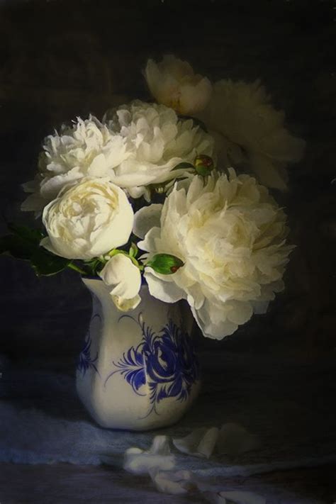 White Peonies In A Blue And White Vase Blue And White Vase Still