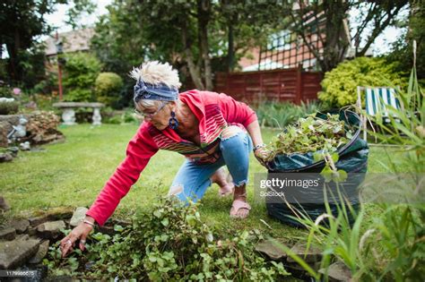 Garden Chores High Res Stock Photo Getty Images