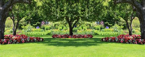 Selecting The Right Tree For Your Yard Growing Home — Growing Home Farms