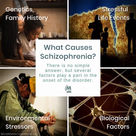 what causes schizophrenia and how common is it mind matters institute