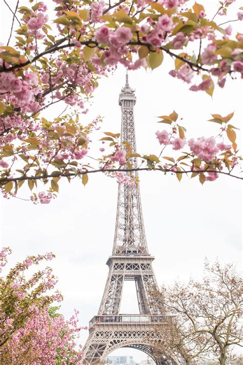 Where To See Paris In Bloom Everyday Parisian Paris Wallpaper