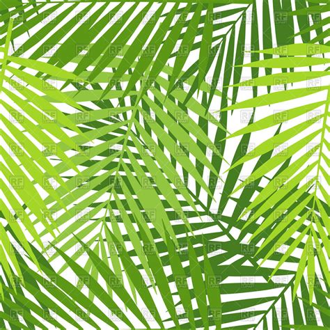 Palm Trees Leaves Clip Art Clip Art Library