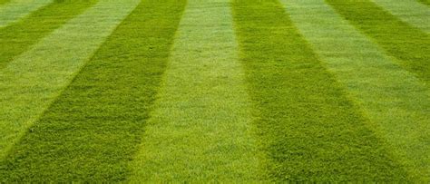 How To Mow Your Lawn Like An Expert 5 Valley West Landscapes