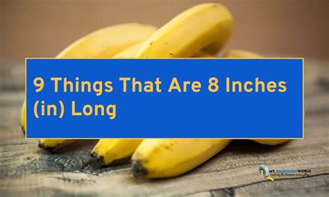 9 Things That Are 8 Inches In Long