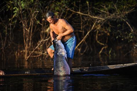 Pescadores Artesanais Do Amazonas Recebem Subvenção Econômica