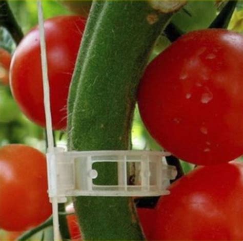 100x Plant Clips Tomato Vines Twine Trellis Connects Durable White
