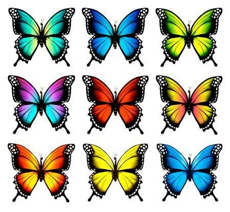 Butterflies Como Dibujar Mariposas Mariposas De Colores Mariposas