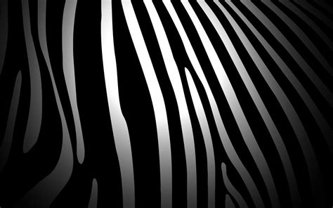 zebras, Pattern Wallpapers HD / Desktop and Mobile Backgrounds