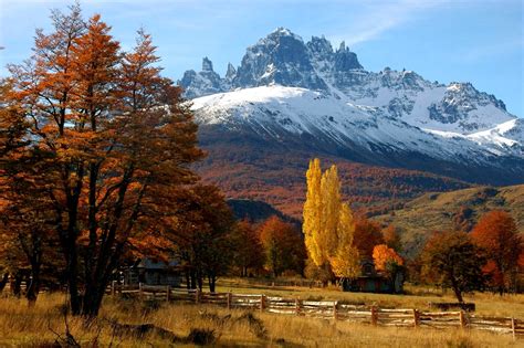 Fall Fence Trees Mountain Forest Chile Patagonia Snowy Peak