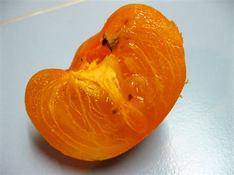 Persimmon Inside I Was Excited When I First Saw This Fruit Flickr