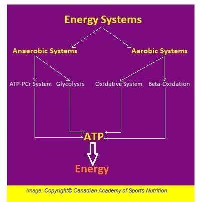 If this level is surpassed, the body cannot deliver oxygen quickly enough to generate atp and anaerobic metabolism kicks in again. Energy System