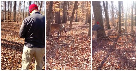 A Deer Got Caught In A Rope But Luckily This Father And His Sons Had A Plan Wow