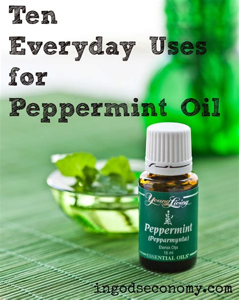 Ten Everyday Uses For Peppermint Oil In Gods Economy