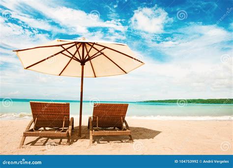 Beautiful Beach Chairs On The Sandy Beach Near The Sea Stock Photo
