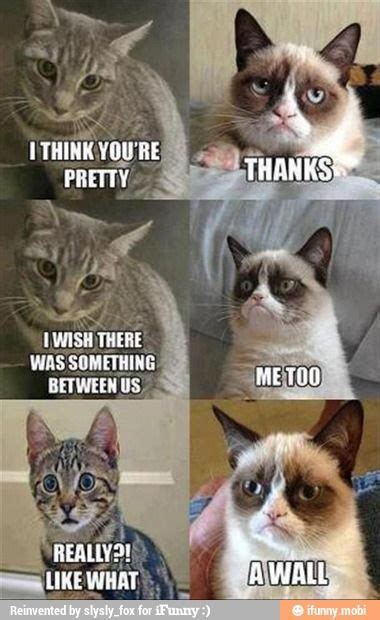 Best Grumpy Cat Memes Of All Time Image Memes At