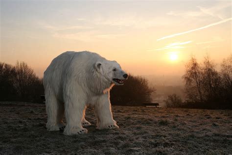 Giant Polar Bear Spotted In London But Theres No Need To Panic