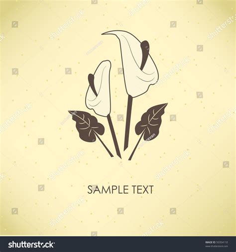 Vintage Greeting Card Calla Lily Flower Stock Vector Royalty Free