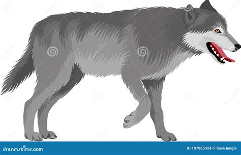 Gray Wolf Head Zentangle Stylized Vector Illustration Freehand