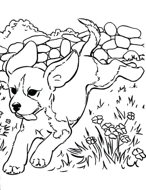 Hard Dog Coloring Pages At Getdrawings Free Download